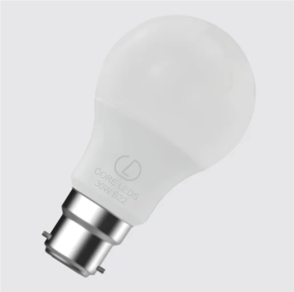 30W LED Bulb