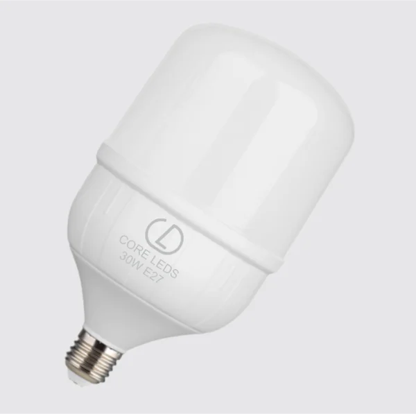 30W LED Bulb